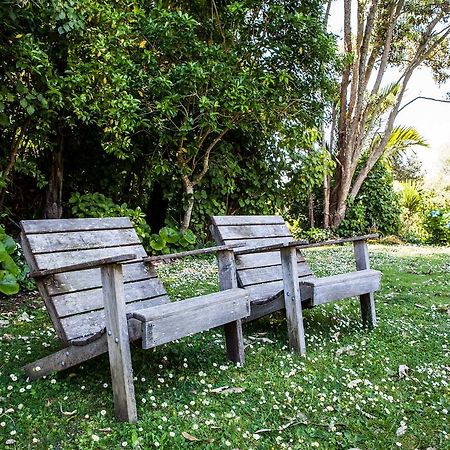 Amongst The Nikau Villa Waihi Luaran gambar