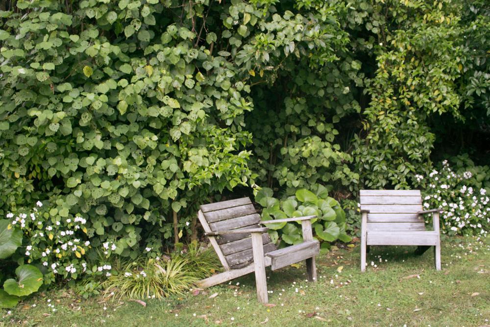 Amongst The Nikau Villa Waihi Luaran gambar