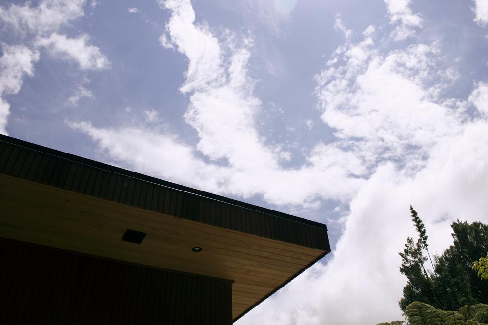 Amongst The Nikau Villa Waihi Luaran gambar