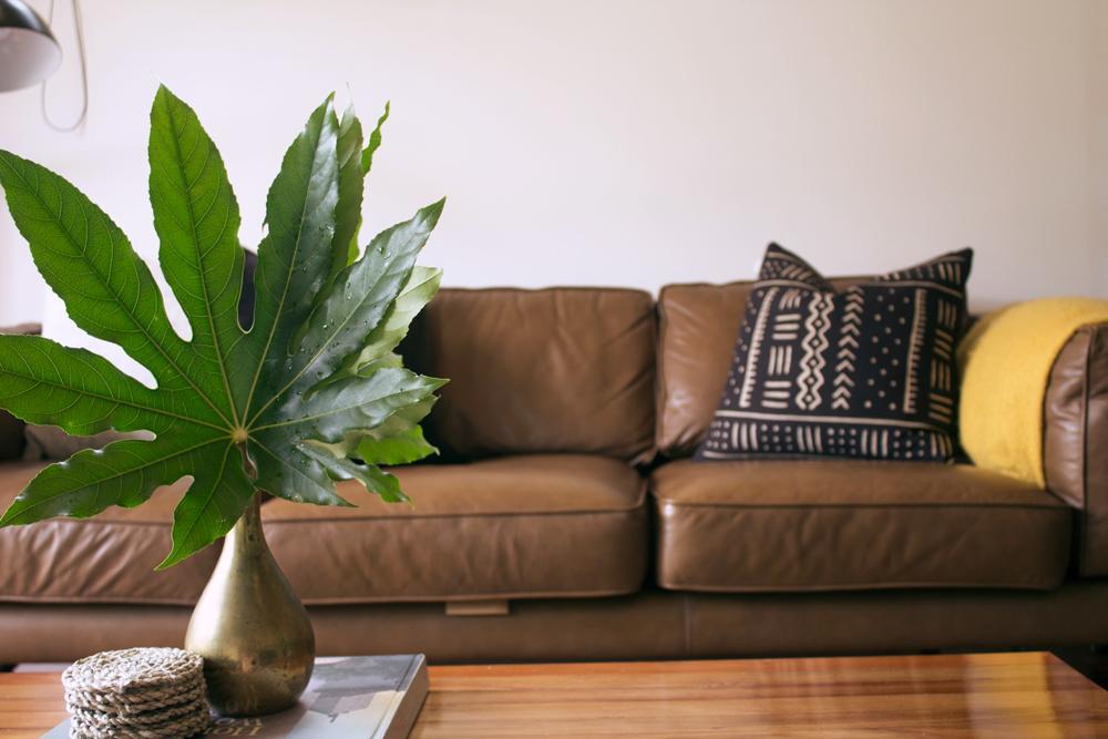 Amongst The Nikau Villa Waihi Luaran gambar