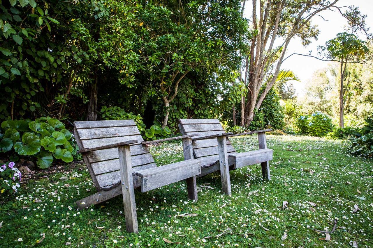 Amongst The Nikau Villa Waihi Luaran gambar